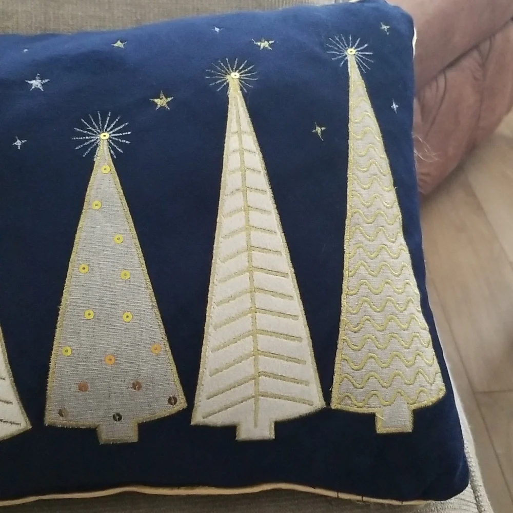Blue Velvet Holiday Accent Pillow